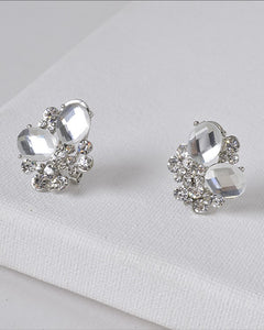 Crystal and Rhinestone Studded 3D Design Earrings