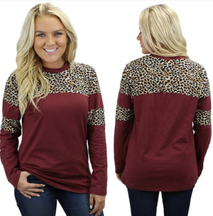 Long Sleeve Leopard Top with Stripe
